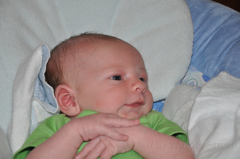 William's Second Week 37.jpg